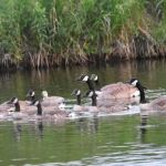 Fisher's Cove RV Park