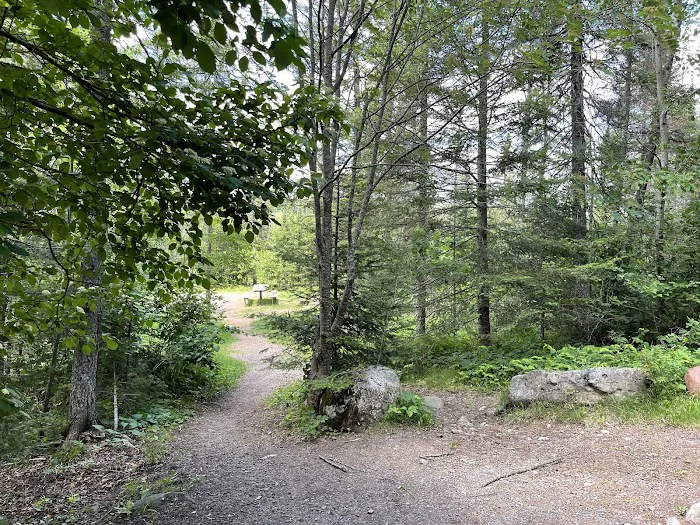 Sullivan Lake Campground 5