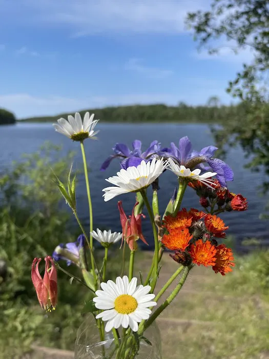 Sullivan Lake Campground 6