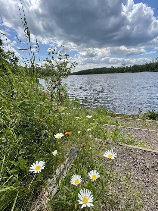 Sullivan Lake Campground 10
