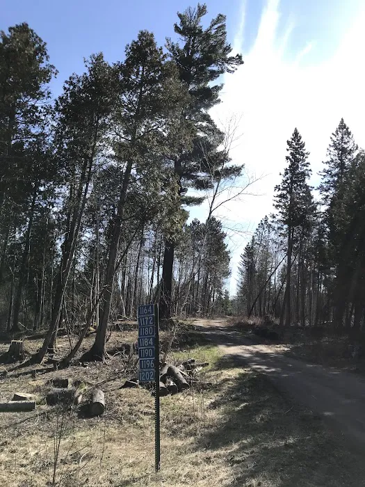 Sand Lake Rustic Campground 8
