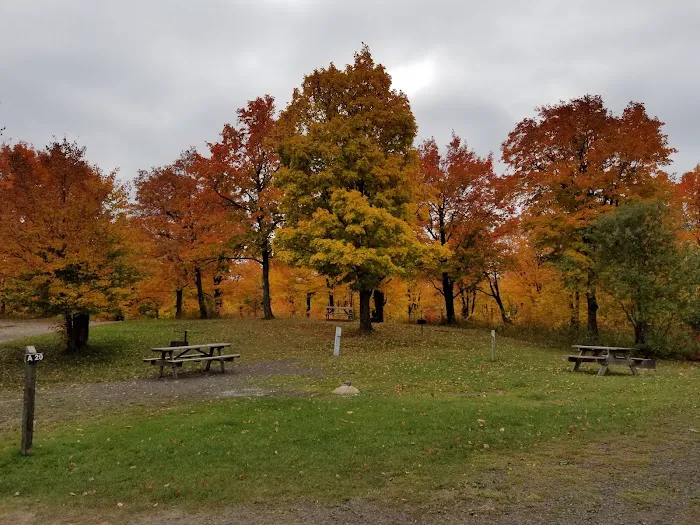Sherwood Forest Campground 8