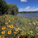 Eveleth Veterans Park-Campground
