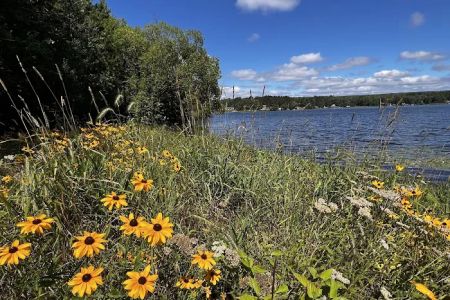 Eveleth Veterans Park-Campground