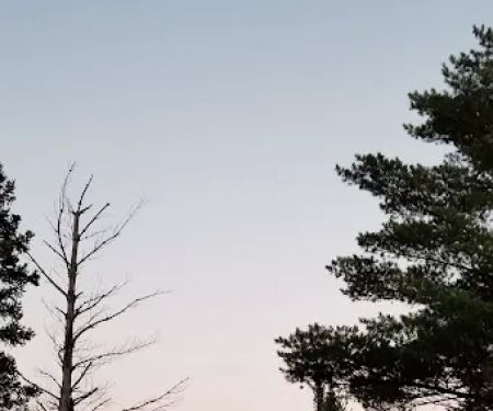 Chapins Ridge Camp