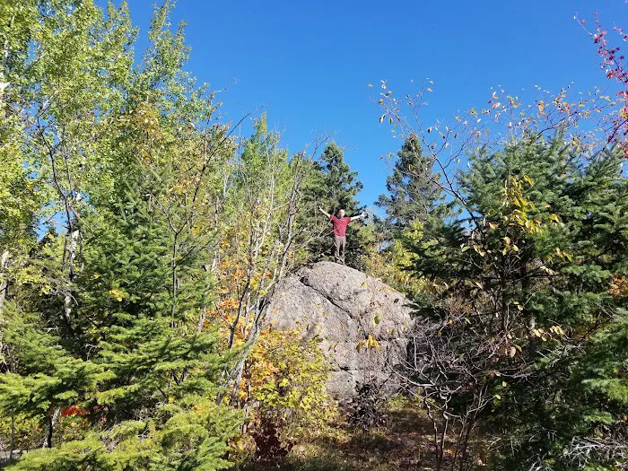 Beaver Pond Camp 1