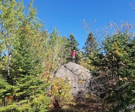 Beaver Pond Camp