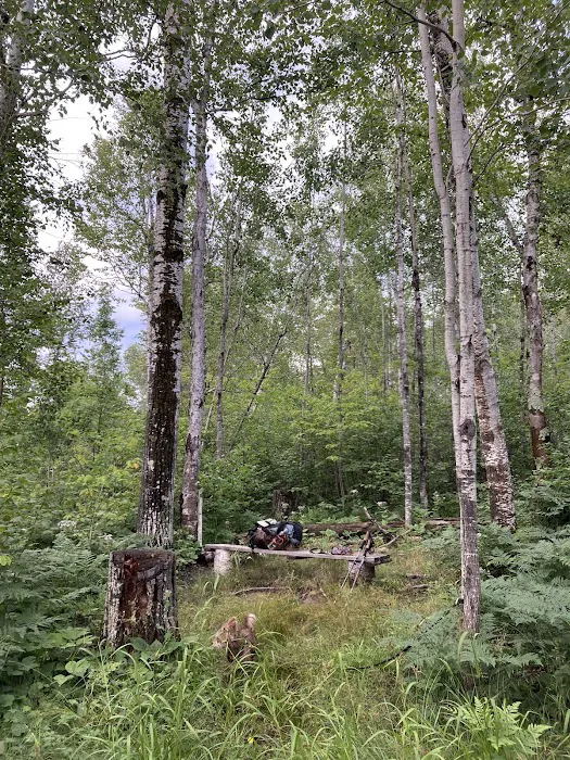 Beaver Pond Camp 5