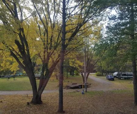 Sandy Pines Campground LLC