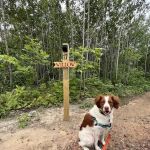 Cuyuna Range Campground