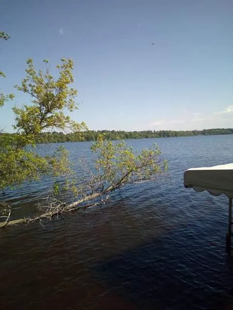 Little Pine RV Park 2
