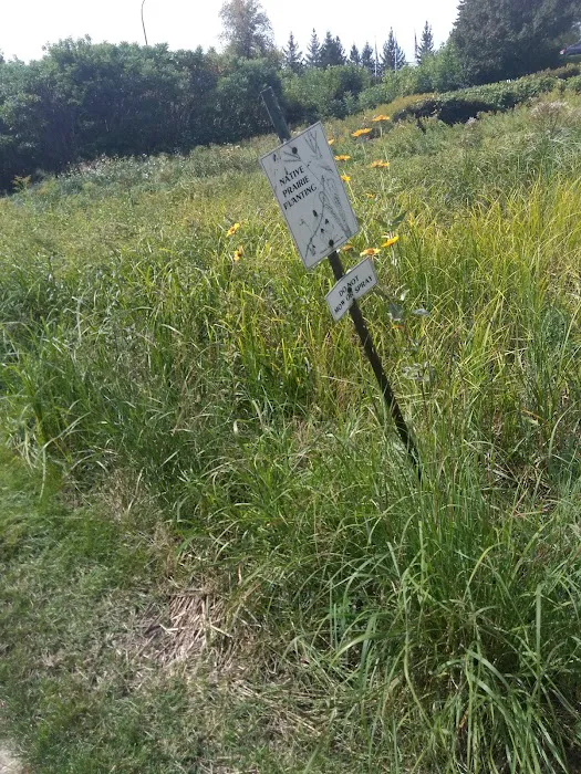 Forestry Department 10