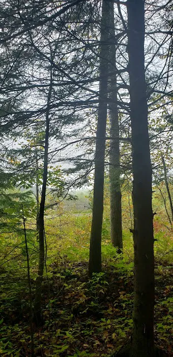 Stubler Beach and Campground 4