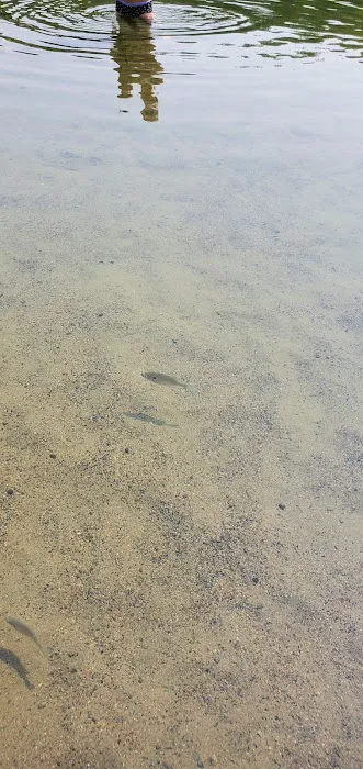 Stubler Beach and Campground 7