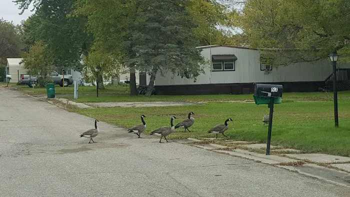 Viking Lakes Village Mobile Home Park 1