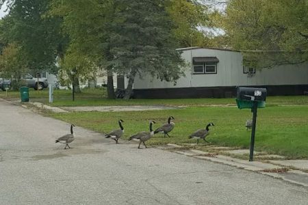 Viking Lakes Village Mobile Home Park