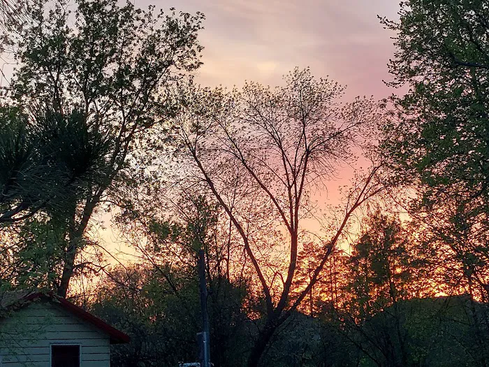 Woodlawn Resort & Campground 9