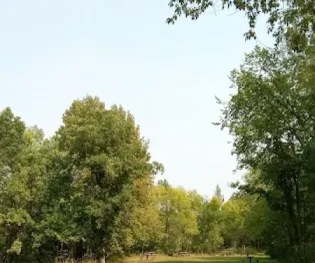 Group Camp