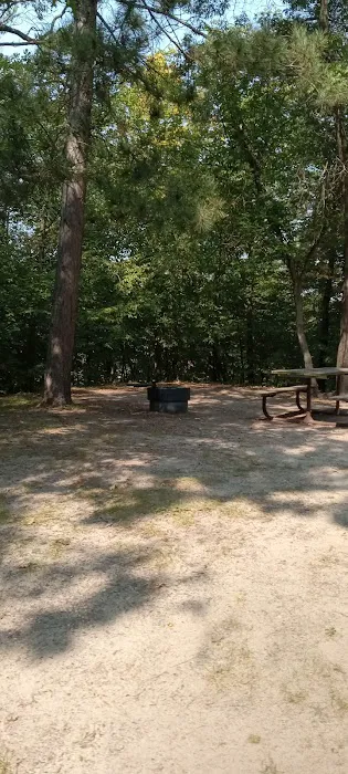 Crow Wing State Park Campground 4