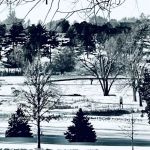 Homestead Campground