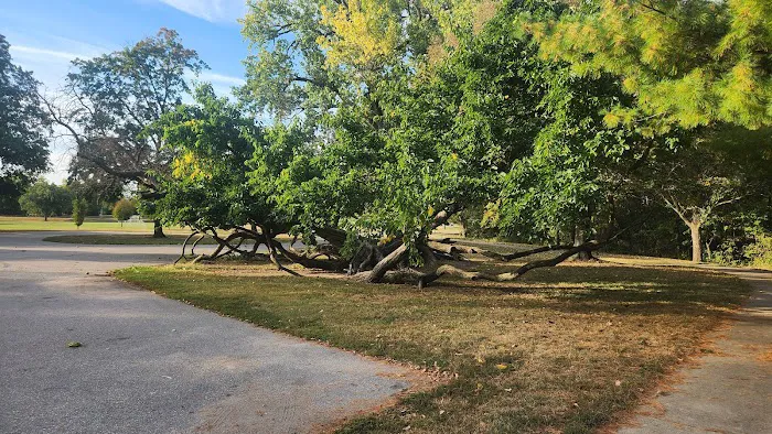 Riverside Park Campground 2