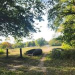 Riverside Park Campground