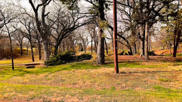 Chautauqua Park Campground 4