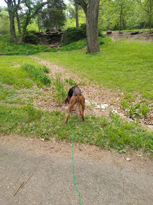 Chautauqua Park Campground 7