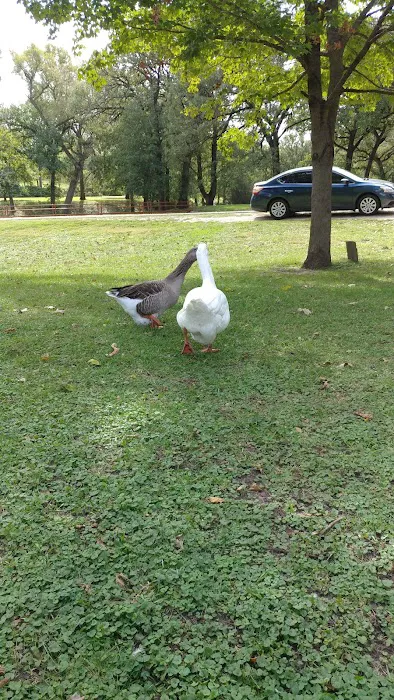 Chautauqua Park Campground 10