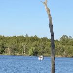 Rockford SRA Swimming Beach
