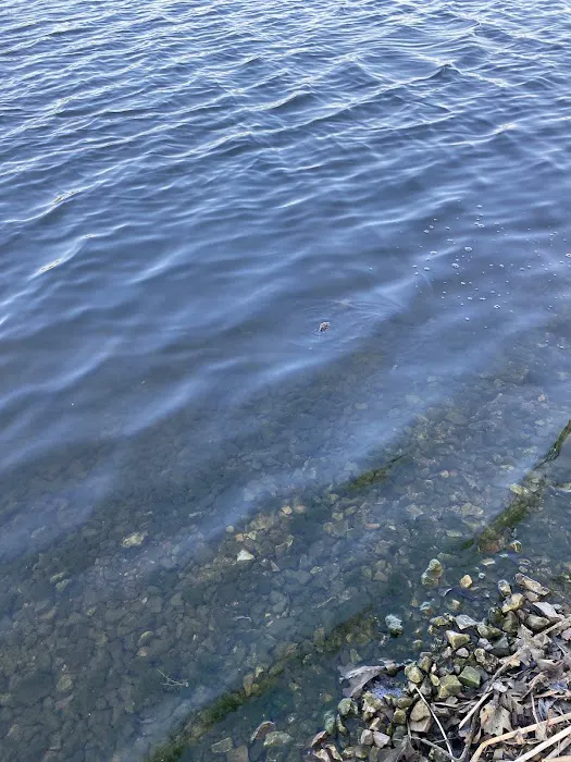 Rockford SRA Swimming Beach 4