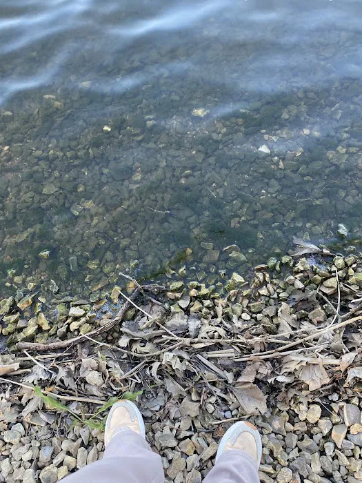 Rockford SRA Swimming Beach 2