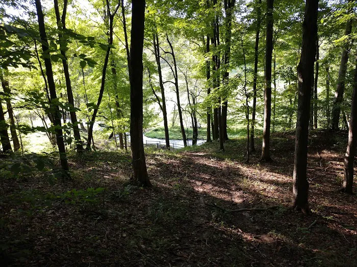 Saffron Valley Campground & Cabins, LLC 6
