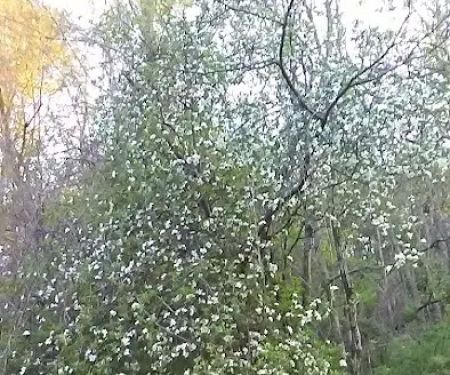 Town And Country Park