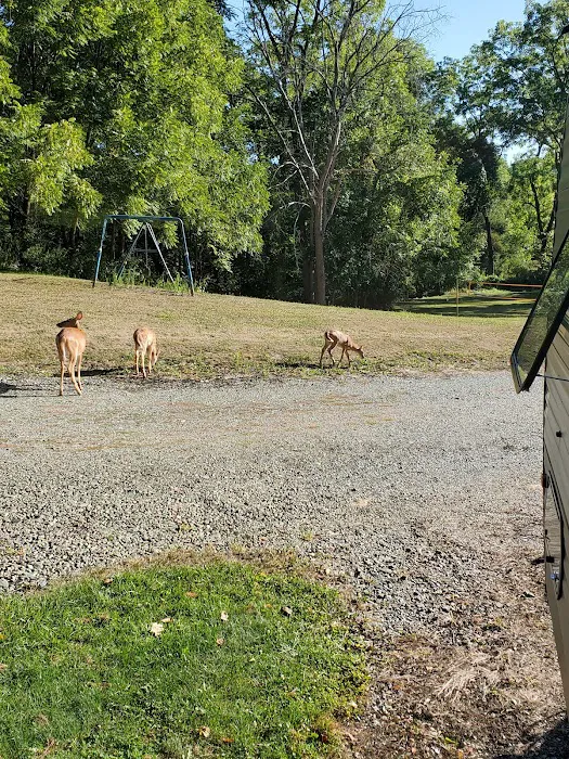 Whispering Pines Family 9