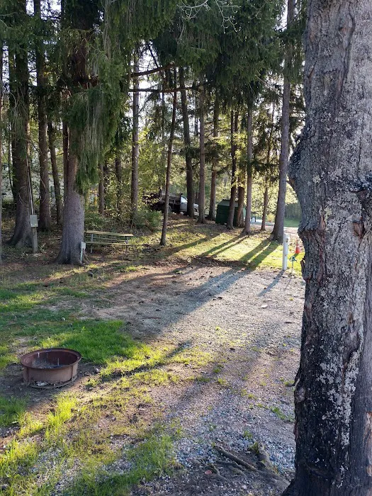 Whispering Pines Family 2