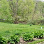 Arbor Ct by HomeBase Living LLC