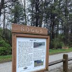 Montour Trail Boggs Campsite/Trailhead