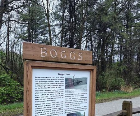 Montour Trail Boggs Campsite/Trailhead