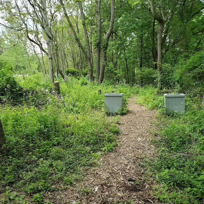 Montour Trail Boggs Campsite/Trailhead 4