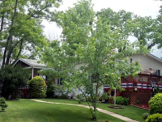 Virginia Hills Manufactured Home Community 3