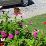 Suburban Terrace Mobile Home