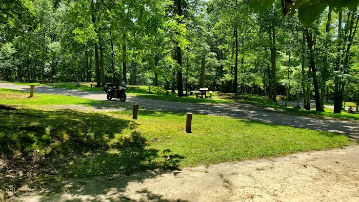 Mountwood Park Campground 5