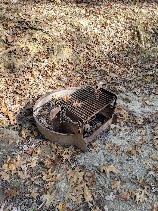 Mountwood Park Campground 8