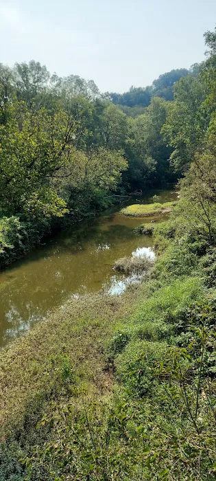 Ring Mill Campground 5