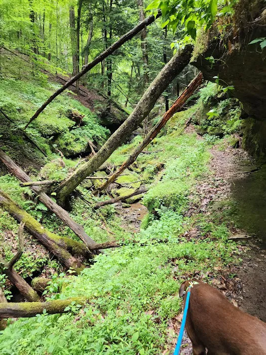 River Run Campground 10