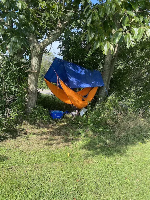 Cokeley Campground 2
