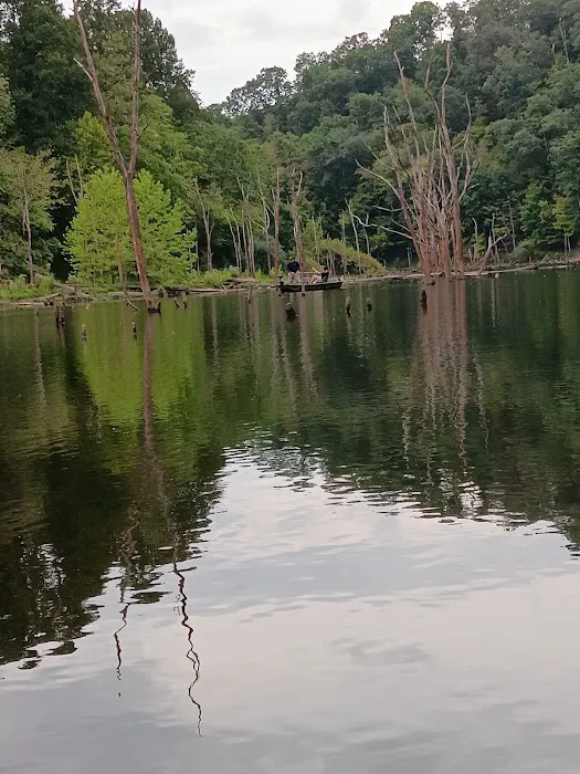 Cokeley Campground 3