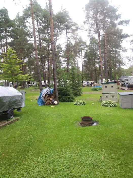 Pineview Camplands 9