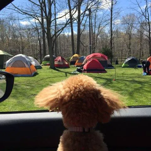 Uncle John's Elk Creek Campground 3